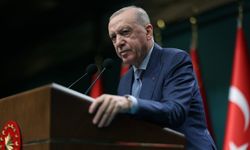 Cumhurbaşkanı Erdoğan'dan orman yangınları ile ilgili açıklama