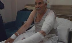Van'da ot biçen vatandaşa kurt saldırdı