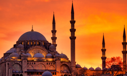 Diyanet İşleri Başkanlığı Van'daki cami sayısını açıkladı