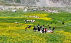 Havanın ısınmasıyla Van'ın yaylalarındaki hareketlilik arttı