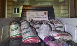 Kaçak avlanan 2 ton inci kefali ele geçirildi