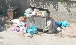 Van’da kurban atıkları kötü kokuya neden oldu