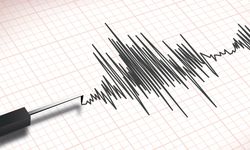 Adana'da deprem! Bakan Yerlikaya'dan açıklama