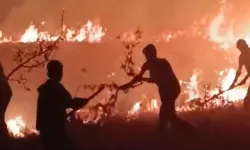 Hakkari-Van Sınırında Korkutan Yangın