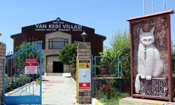 Van Kedi Evi'ne nasıl gidilir?