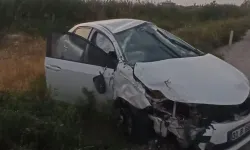 Van'da otomobil ile kamyonet çarpıştı
