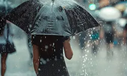 Van’ın birçok ilçesinde yağış bekleniyor!
