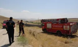 Van'da yüzlerce dönüm arazi kül oldu