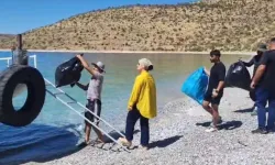 Doğaseverler Van Gölü sahilinde çöp topladı