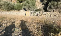 Hakkari'de kamyon uçuruma yuvarlandı: 1 ölü