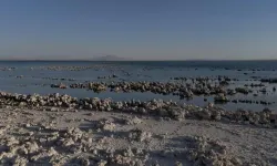 Van Gölü'nde kuraklık alarmı!