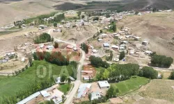 Van’da bir silahlı kavga daha! Ölü var…