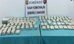 Van ve Hakkari'de büyük operasyon