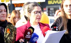 Van’da AK Partili kadınlardan ortak açıklama