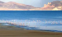 Erçek Gölü metrelerce çekildi