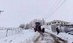 Kırsal kesimlerde karla mücadele sürüyor: 15 köyün yolu yeniden açılıyor
