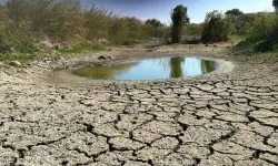 Van’da üretim alarm veriyor: Prof. Dr. Tunçtürk’ten iklim değişikliği değerlendirmesi