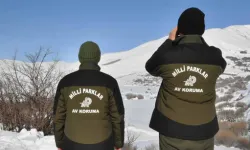 Hakkâri'de yasa dışı avcılığa ağır ceza