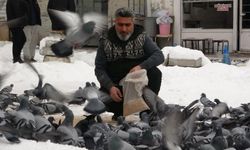 Van’da 24 Yıllık Sessiz Dostluk: Binlerce Güvercin Kartpostallık Görüntüler Oluşturdu