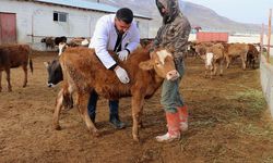 Van’da baba mesleğini devlet desteğiyle modernleştirdi