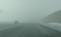 Van-Özalp kara yolunda sis görüş mesafesini 30 metreye düşürdü