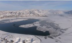 Sibirya soğuklarının hakim olduğu Van'da Sıhke Göleti'nin son hali