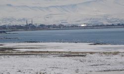 Uzmanlardan Van Gölü Havzası için uyarı