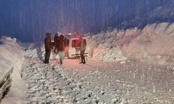 Hakkari–Van yolunda iki çığ arasında kalan 5 araç kurtarıldı