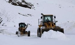Kar Van’da etkili oldu: 405 yerleşim yeri yolu kapandı