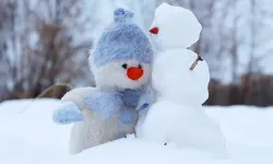 Van’ın o ilçesinde taşımalı eğitime ara verildi