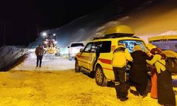 Van'da hamile kadın 5.5 saatlik çalışmayla hastaneye ulaştırıldı