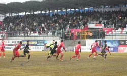 PFDK cezaları açıkladı: İşte Vanspor’un aldığı ceza