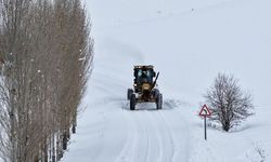 Van’da 283 yol ulaşıma kapandı
