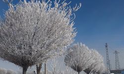 Van’da Sibirya Soğukları Etkisini Artırdı: Ağaçlar Kırağı Tuttu, Göletler Dondu