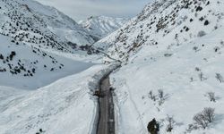 Van-Çatak yolu kar ve çığ riski nedeniyle trafiğe kapatıldı