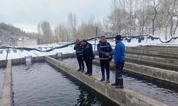 Van’da alabalık üretimine kış denetimi: Üreticilere yerinde eğitim