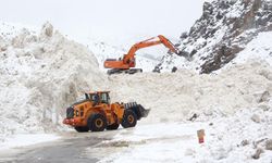 Van’da eğimli alanlar çığ riskini artırıyor