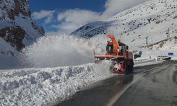 Van-Bahçesaray yolu 43 gündür kapalı! Karabet Geçidi’nde kar 2 metreyi geçti