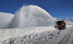 Kar yağdı Van’da 141 yol kapandı!