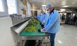 Van Erciş’te kışın sıcak yemek hizmeti