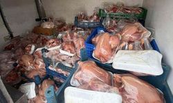 Van’da raporsuz tavuklar ele geçirildi