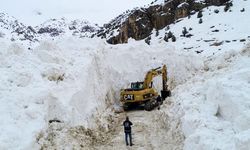 Van’da çığ düşen yol 13 gün sonra ulaşıma açıldı