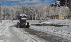 Van’da 230 yerleşim yolu açıldı, 160 yol kapalı