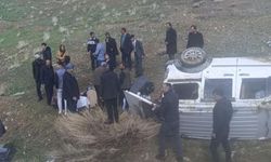 Van’da kamyonet şarampole devrildi