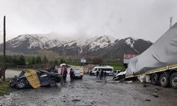 DSİ Van Merkez Şube Müdürü ve şoförü kazada hayatını kaybetti