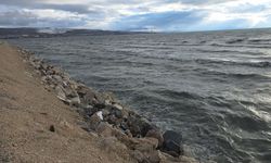 Van Gölü’nde bu yıl yüzleri güldüren tablo