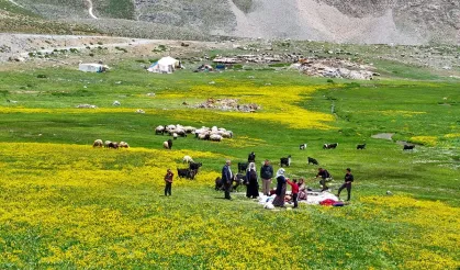 Havanın ısınmasıyla Van'ın yaylalarındaki hareketlilik arttı