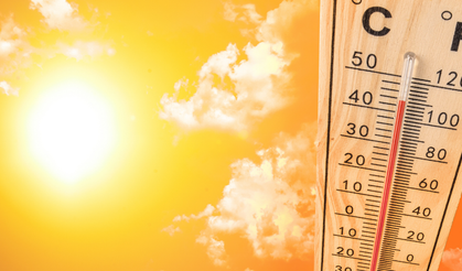 Van'da uzmanlardan sıcaklık uyarısı