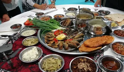 81 il Van’da buluşuyor!