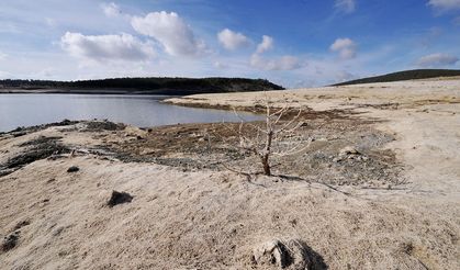 O ilde barajlar kurudu: Kentte su kesintisi uygulanacak